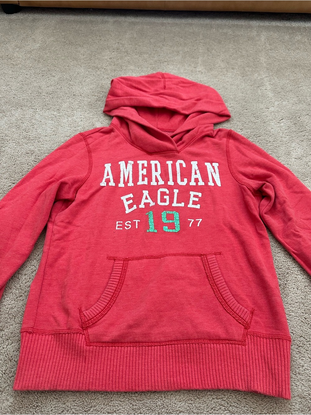 American Eagle Outfitters Vintage Coral Hooded Pullover with Logo size Medium